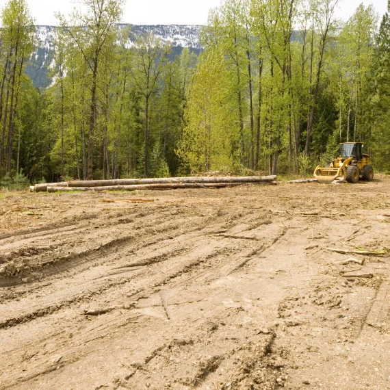 Grading and Driveway Services 1