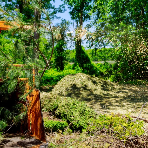 Grading and Driveway Services