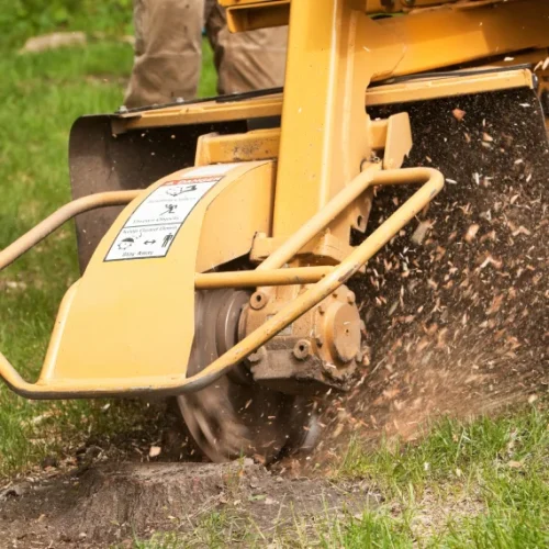 Stump Grinding and Removal 1