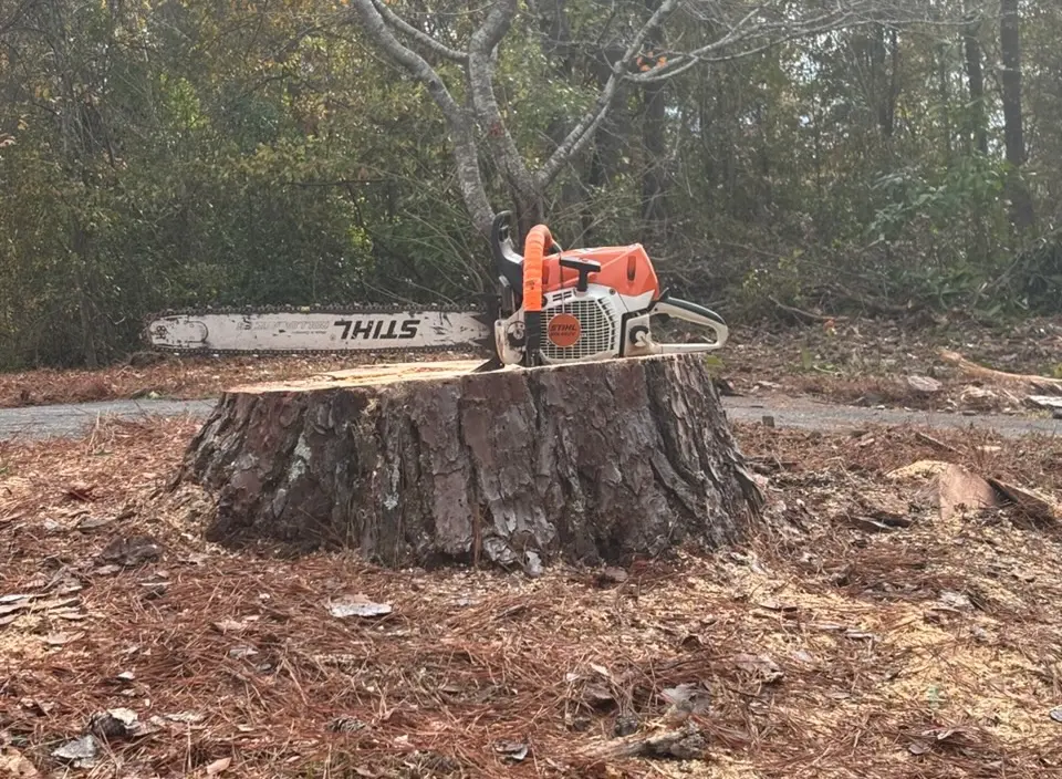 Walker Land Management LLC